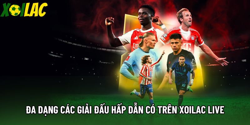 Đa dạng các giải đấu hấp dẫn có trên xoilac live Đa dạng các giải đấu hấp dẫn có trên xoilac live