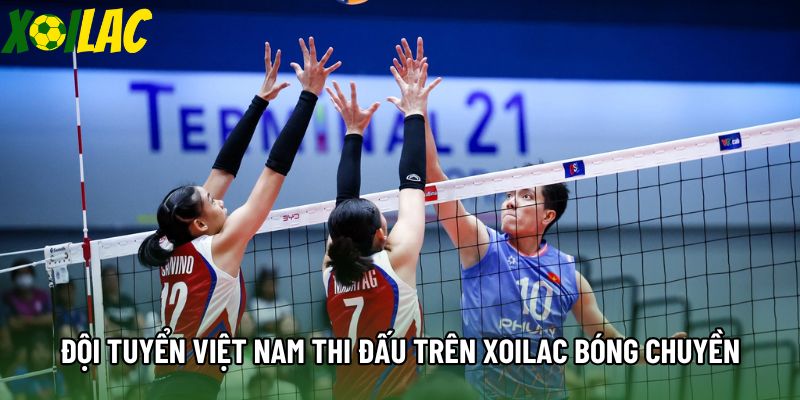 Đội tuyển Việt Nam thi đấu trên xoilac bóng chuyền Đội tuyển Việt Nam thi đấu trên xoilac bóng chuyền