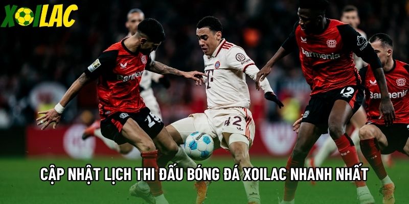 Cập nhật lịch thi đấu bóng đá Xoilac nhanh nhất Cập nhật lịch thi đấu bóng đá Xoilac nhanh nhất