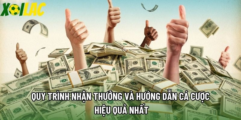 Quy trình nhận thưởng và hướng dẫn cá cược hiệu quả nhất Quy trình nhận thưởng và hướng dẫn cá cược hiệu quả nhất