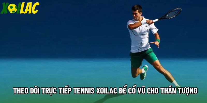 Theo dõi trực tiếp tennis xoilac để cổ vũ cho thần tượng Theo dõi trực tiếp tennis xoilac để cổ vũ cho thần tượng