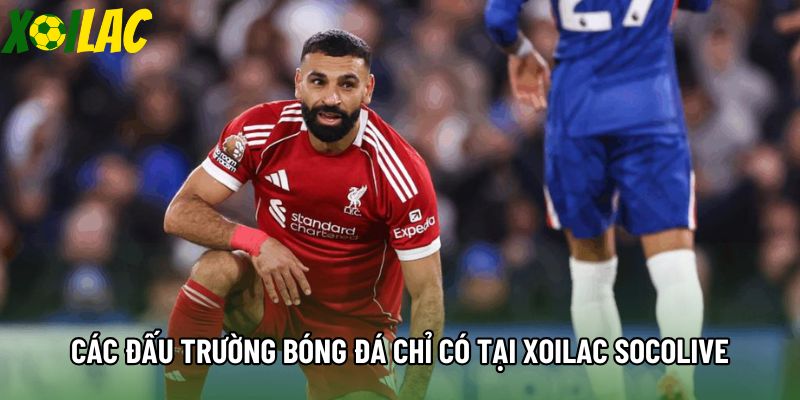 Các đấu trường bóng đá chỉ có tại Xoilac socolive Các đấu trường bóng đá chỉ có tại Xoilac socolive